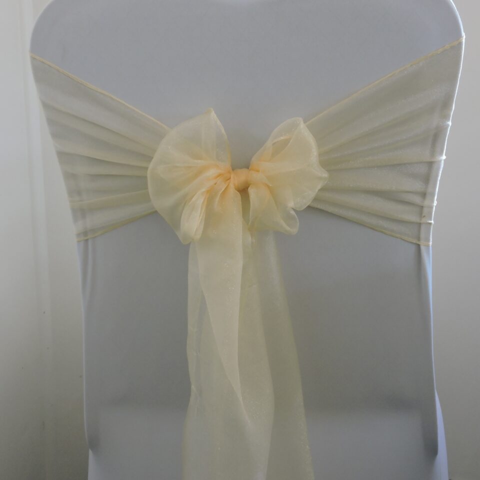 Champagne-Ivory Organza Bow