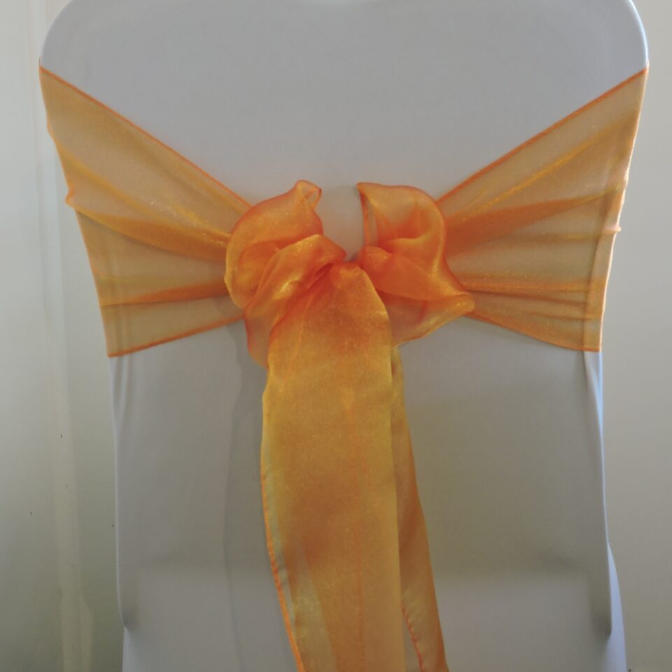 Orange Organza Bow