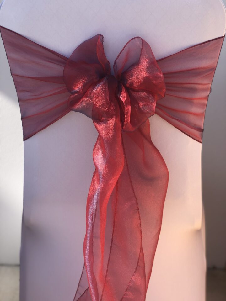 Red Organza Bow (shoots some blue)
